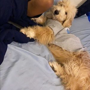 Meet your Posher, Yanett